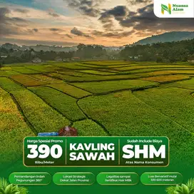 Jual Tanah Kavling Sawah Murah Include SHM