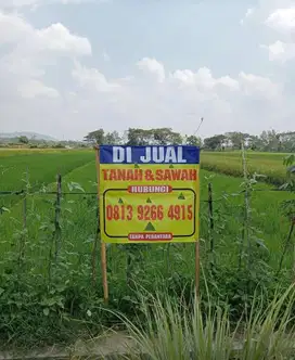 dijual sawah daerah klaten