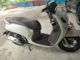 Jual honda scoopy nego