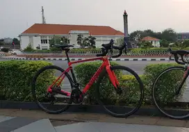 Road Bike Specialized Roubaix Elite