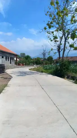 NEGO SAMPAI DEAL JUAL SAWAH di Pacet, sawah dijual pinggir sungai bsr