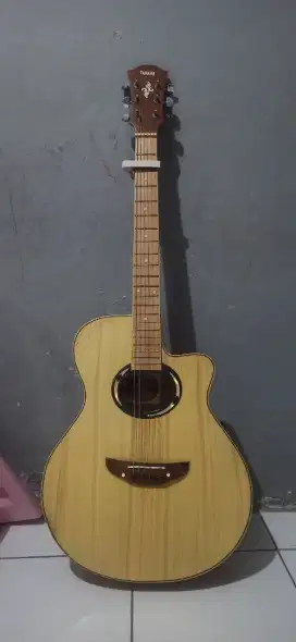 Gitar Akustik elektrik custom model APX 500