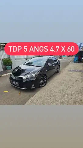 TDP 5-ALTIS V 2016