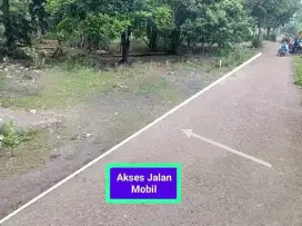 Di Jual Tanah Kebun Murah