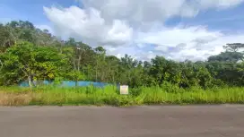 Dijual tanah di ds.Jaras,Kec.Putussibau,Kapuas Hulu, Kalimantan Barat.