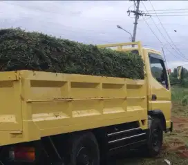Rumput gajah biasa / paitan. Bisa cara mobil ataupun cara meter..