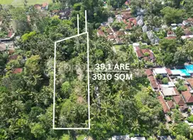 Unlock Potential 3910 sqm Leasehold Land in Lodtunduh BSLL186