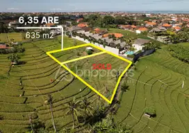 Expansive 635m² Land for Sale in Padang Linjong BSLL170