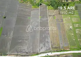 Expansive Land in Kedungu, Bali BSLL192