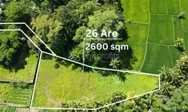 Exclusive 2600 sqm Land with Mesmerizing Rice Field Views BSLL195