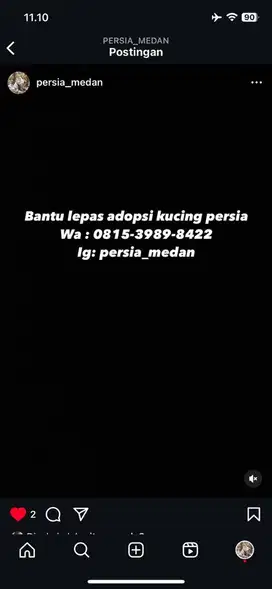 Bantu lepas adop persia bisa dm ig kita