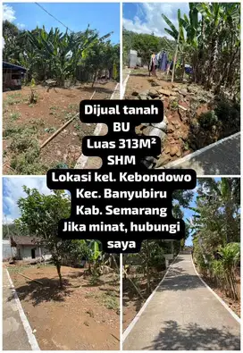 Jual tanah view sawah dan murah