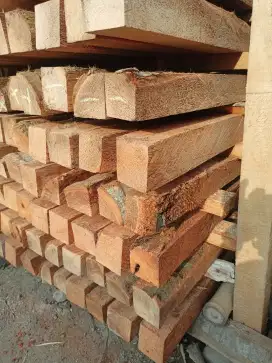 Kayu Kelapa Super / Tua