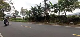 MURAH Tanah Kebun Samping Jalan Strategis Jl. Raya Cipanas - Cianjur