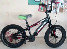 Sepeda BMX Anak Pasific 16 Mantab.