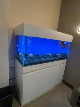 Aquarium Cabinet