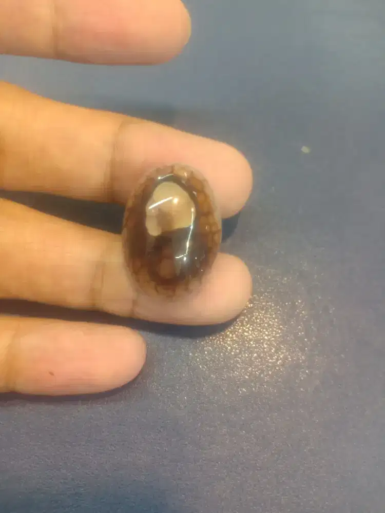 Batu Akik sarang tawon