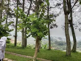 Jarang Ada Tanah Bonus View Kota Bandung di Bojong Koneng Cimenyan