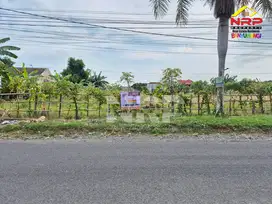 Dijual Tanah Luas Prospek Jl. Jembrana, Klatak - Banyuwangi