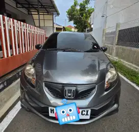 Brio Satya S 2014 Manual Josssss