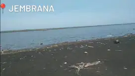 Tanah kontur datar los pantai pekutatan, lebar depan pantai 36 meter