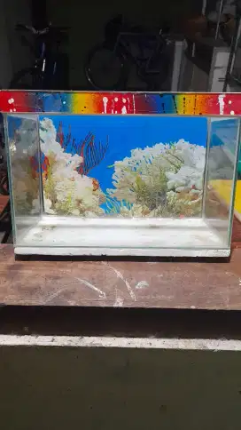 aquarium 30x20x15