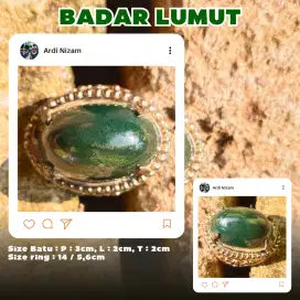 Cincin Batu Badar Lumut Elegan