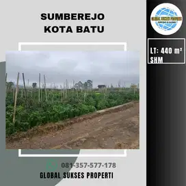 TANAH SAWAH SUBUR HARGA ISTIMEWA DI SUMBEREJO KOTA BATU.