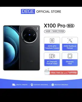 NEW VIVO X100 12/256