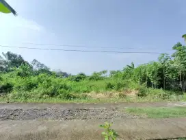 Dijual Tanah Kavling Pekarangan Jalan Purbaya Mlati Dekat Pemda Sleman