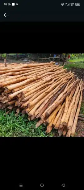 Kayu dolken puspa kupas 4/6x4m