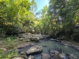 Dijual tanah los sungai dengan view sawah cantik di tabanan bali