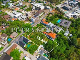 LAND FOR LEASE CANGGU MAIN ROAD TIYING TUTUL