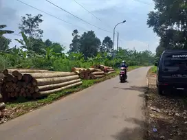 kebun durian luas murah jalan aspal