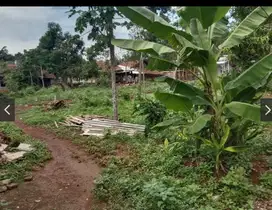 tanah pekarangan di selatan kampus UIN