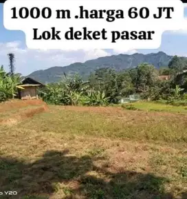 Tanah sawah produktif murah meriah dekat rumah warga