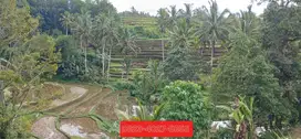 Dijual tanah view sawah di Senganan Penebel dkt Jatiluwih Tabanan Bali