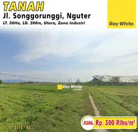 Dijual Tanah Jl. Songgorunggi, Nguter