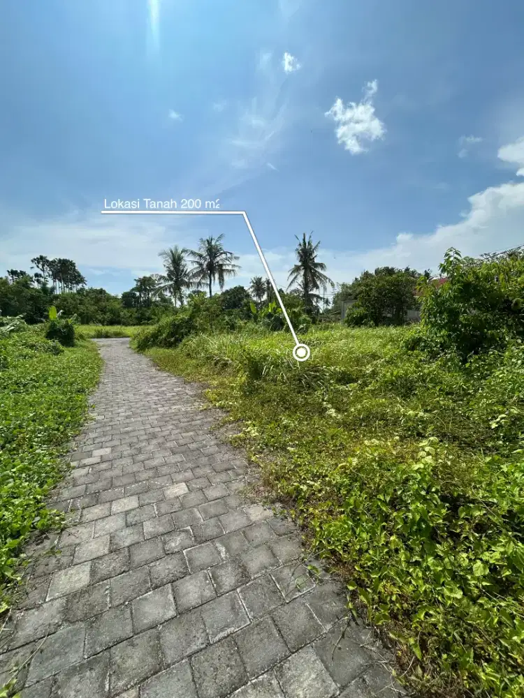 Dijual Tanah (200M²) di Kedungu Tabanan