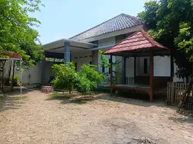 rumah kampung kota serang tanah luas