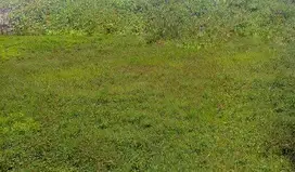 Jual Tanah siap bangun Luas 1,2ha di jl.raya kampung melayu tangerang