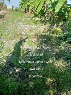 DIJUAL TANAH SAWAH PINGGIR JALAN DESA