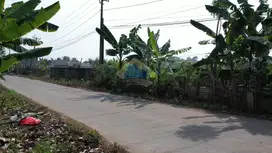 Dijual tanah di jl desa Gabus - Jawilan, Serang Banten