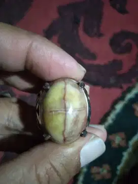 jual batu akik tapak jalak tali merah