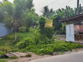 jual murah tanah pinggir jalan propinsi