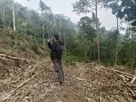 Tanah Kebun Durian Di Tajinan Malang Dekat Bululawang