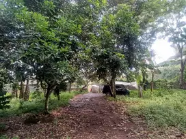 Dijual Tanah Siap Bangun Lokasi Jalan Utama Raya Ngaliyan