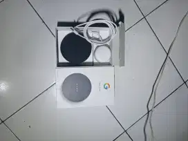 Google home smart spiker