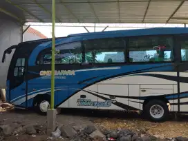 Isuzu NQR71 medium bus 35 seat adi putro