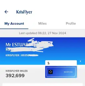 Jual tiket poin Krisflyer Singapore Airlines